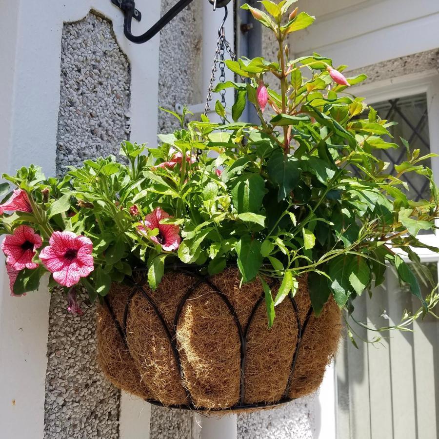 Bugle Eden'S Rest Bed And Breakfast المظهر الخارجي الصورة