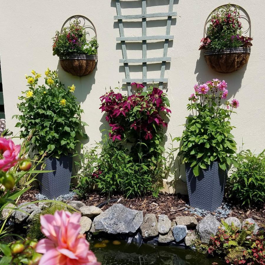 Bugle Eden'S Rest Bed And Breakfast المظهر الخارجي الصورة
