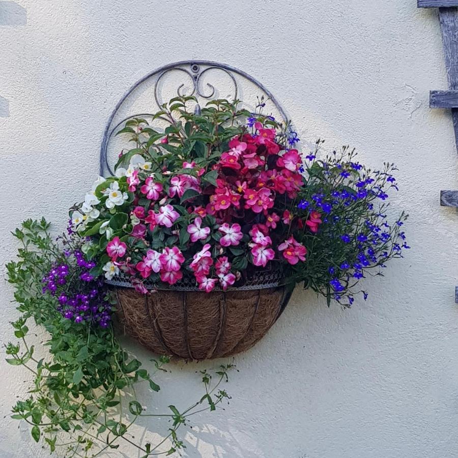Bugle Eden'S Rest Bed And Breakfast المظهر الخارجي الصورة