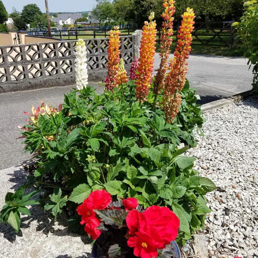 Bugle Eden'S Rest Bed And Breakfast المظهر الخارجي الصورة